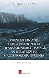 Image de Prevention and Compensation for Transboundary Damage in Relation to Cross-border Pipelines (Energy & Law)