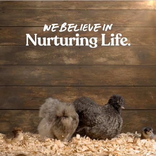 Manna Pro Omega Egg Maker Chicken Feed Supplement for Laying Hens Poultry Food with Omega3