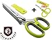 Kitchenette Premium Cutting and Chopping 5 Blade Fresh Herbs Stainless Steel Kitchen Small Scissors Plus Free Ebook and Free Bonus!
