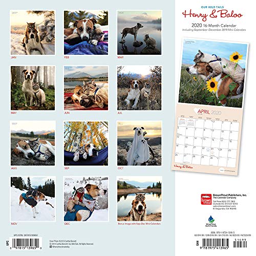 Henry & Baloo - Our Wild Tails 2020 12 x 12 Inch Monthly Square Wall Calendar, Outdoor Nature Dog Cat