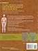Orthospinology Procedures: An Evidence-Based Approach to Spinal Care