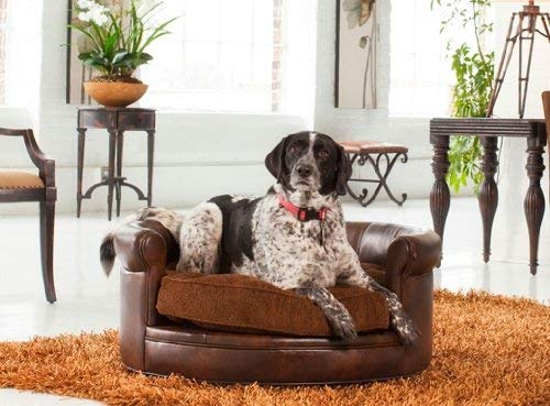 uttermost dog bed