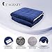 L'AGRATY Luxury Minky Sherpa Weighted Blanket for Adults (15lbs, 48
