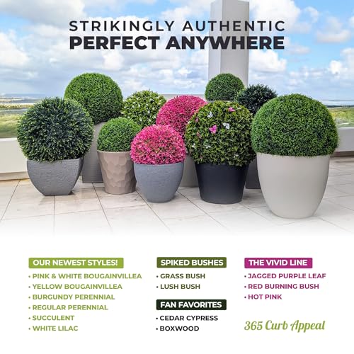 365 Curb Appeal 23" XL Topiary Balls (Better Than A Boxwood, 2 Topiary Balls (4 Halves))