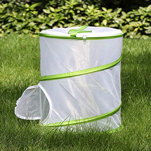 4 RESTCLOUD+Insect+Butterfly+Habitat+Terrarium