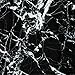 Tenedos China Black Marble 12x12 Polished Tile – Natural Stone with White Veins for Bathroom Wall, Kitchen Backsplash, Fireplace Surround, Floor (Sold by Piece, 1 Sq.Ft)