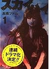 スカイハイ 全2巻 （高橋ツトム）