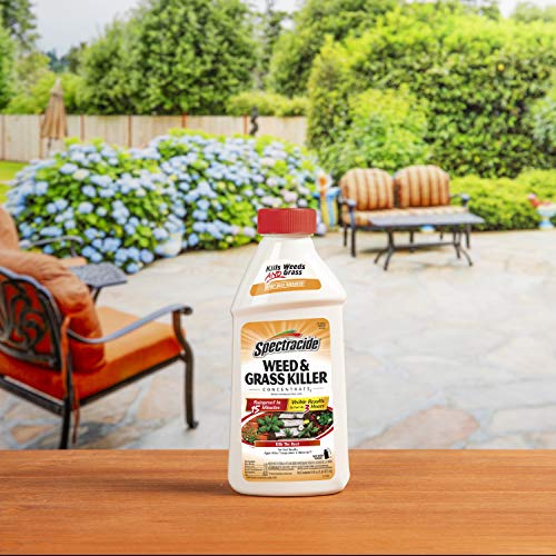 Spectracide Weed And Grass Killer Concentrate 16 Ounces, Use On Patios