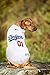 MLB Jersey for Dogs & Cats - Baseball Los Angeles Dodgers Pet Jersey, Small.