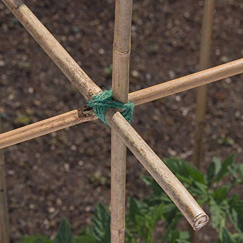 Bond Manufacturing N408 500-Pack Natural Bamboo, 4-feet by 3/8-inch, 4 ft - Thumbnail 4