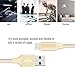 Nutmix iPhone Cable 5Pack 3FT 6FT 6FT 10FT 10FT Nylon Braided Certified Lightning to USB iPhone Charger for iPhone X/8/8 Plus/7/7 Plus/6/6 Plus/6S/6S Plus,iPad,iPod Nano 7 - Gold