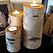 Real Birch Log Tea-Light Candleholder Set (3) (Candles Included) Clear Sealed Tops to Protect The Wood & Felt Covered Bottom to Protect Your Furniture.