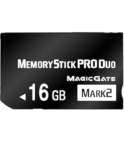 Amazon.com: Transcend Digital Camera Memory Card, Compatible with