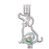 Vie Jeune 10pcs Silver Pearl Cage Locket Pendants, Essential Oil Diffuser DIY Necklace Bracelet Jewelry Making Craft, Bulk Beads Aromatherapy Diffuser Charms Gifts for Women Girls