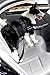 WENFENG Pet Dog Seat Belt, Adjustable Safety Leads Vehicle Pet Dog Cat Car Seatbelt Harness, with Shock Attenuation Elastic Nylon Bungee Buffer, Pack of 2