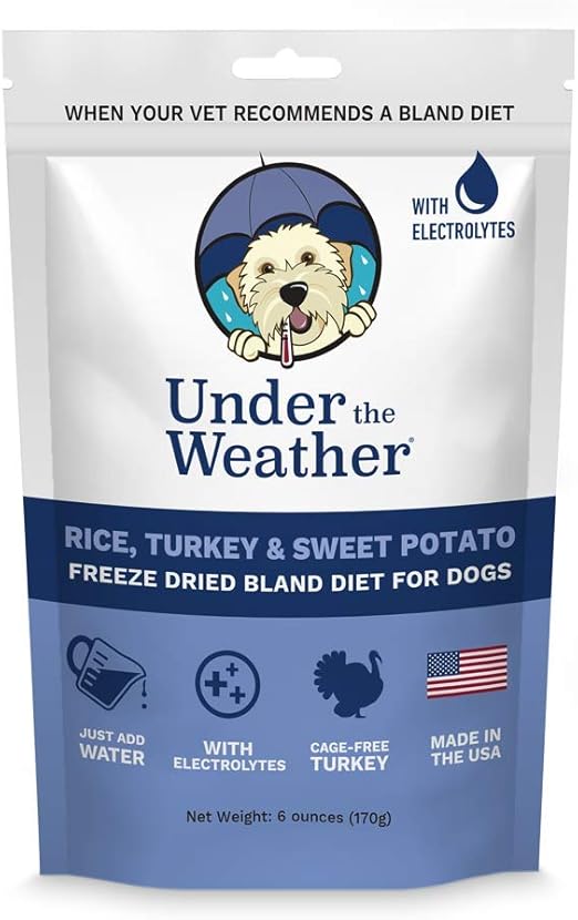 rice water for dogs