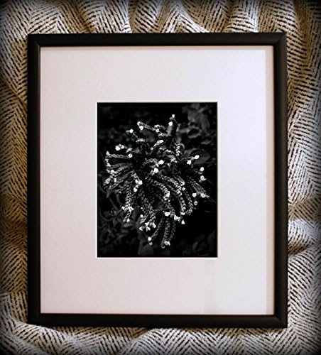 Discounted Original Fine Art Framed Photograph - Aleatoric