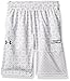 Under Armour Boys' SC30 Novelty Shorts