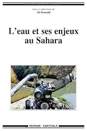 L' eau et ses enjeux au Sahara