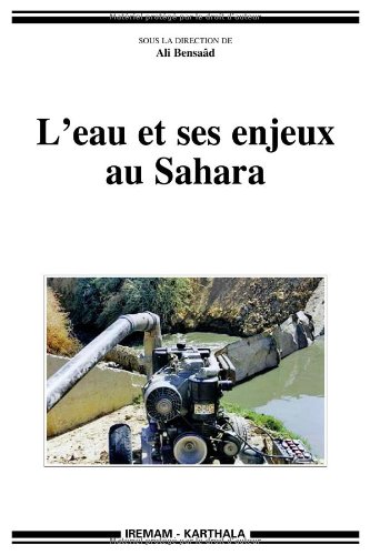 L' eau et ses enjeux au Sahara