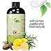 Best Shampoo for Oily Hair – Itchy Scalp Botanical Hair Loss Treatment for Men & Women – Degreaser Hair Product Sulfate Free – Clarifying Shampoo for Color Treated Hair & Natural Beauty Hair Care 16ozthumb 4
