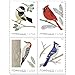 Birds in Winter - 2018 U.S. Forever First Class Postage Stamp U.S. Forever 50 Cents, Four Winters Winged Beauties Sheets Sets - Book 20 Stamps