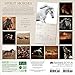 Spirit Horses 2019 Wall Calendar