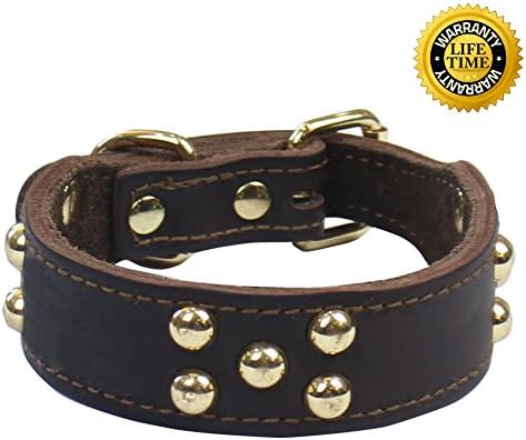 Captain Pet Soft Leather Dog Collar With Rivet Studded Suit for Small and Medium Dogs (M,12-14"Neck)