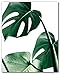 Monstera, Banana, Palm Leaf Prints, Set Of 3, Tropical Leaves, 8 x 10 Inches, Unframed