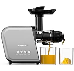 Slow Juicer Carrot Ginger, 250W Cold Press Juicer