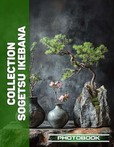 Amazon.com: Ikebana on the Silk Road - Shi-Chu Karo (Japanese