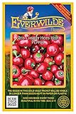 Everwilde Farms - 50 Red Cherry Hots Hot Pepper