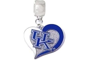 HEAVENS JEWELRY UK UNIVERSITY OF KENTUCKY WILDCATS CHARM Heart Slider Pendant for Your Necklace Charm Bracelet (Fits Most Name Brands) DIY