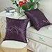 Throw Pillow Cases CaliTime Modern Shining Dull Contrast Circles Rings Geometric Cushion Covers Shells for Couch Sofa Home Decor 20 X 20 inch Pack of 2 Deep Purple