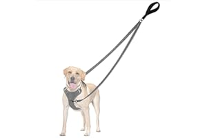 Double Ended Dog Leash 1 PCS Nylon Training Leash for Dogs Black 1.8m Dual Clip Walking Running Lead for Hands Free Exercise 