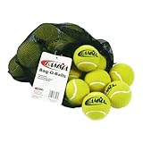 Gamma Sports Bag-O-Balls Pressureless Tennis Balls, Bag of 18