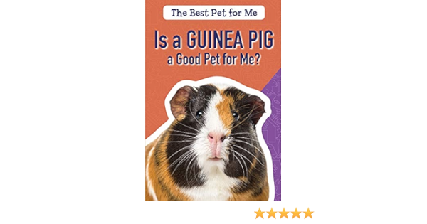 guinea pig shop near me