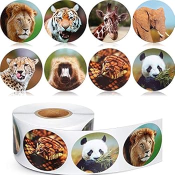 Chinco 500 Pieces Animal Stickers Zoo Animal Roll Stickers 1-1/2 Inch Self Adhesive Label Animal Shape Wall Decals for Kids Party Favors, 8 Styles