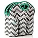 Vettore Sac al Fresco Neoprene 6 Pack Bottle Carrier, Extra Thick Insulated Baby Bottle Cooler Bag Keeps Baby Bottles Cold or Warm Great as Baby Shower Gift (gray chevron aqua trim)