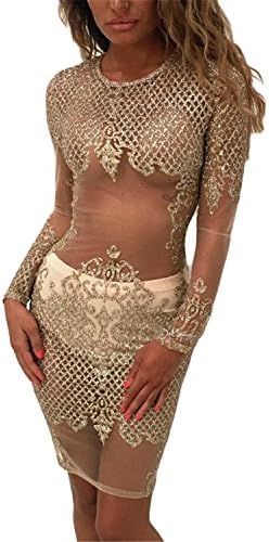 Womens Sexy Crew Neck Long Sleeve Floral Sequins Paneled Mesh See Through Clubwear Dress