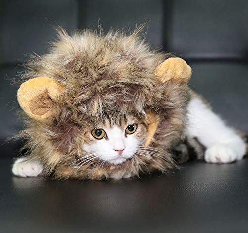 Legendog Cat Halloween Costume Lion Mane Wig Hat for Cats Pet Halloween Costumes for Small Dogs and Cats