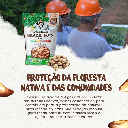 Castanha-do-Pará 500g Orgânica Inteira – Fonte de Proteína Vegetal e Selênio – Vegana, Kosher, Sem Glúten, Sem Conservantes – Floresta em Pé