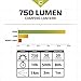 CORE 750 Lumen LED Battery Lantern, 4 D Batteries (not Included), Camping Emergency