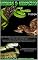 Livro Cobras e Serpentes Vol 7 (Cobras e Serpentes Vol 1)