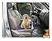 Mr. Peanut's Large Pet Food Mat, Premium FDA Food Grade Silicone, BPA Free, 24