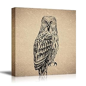 Birds Flowers Owls Butterflies Home Artwork for Living Room Bedroom