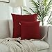 Kevin Textile Pack of 2 Outdoor Waterproof Throw Pillow Covers Decorative Farmhouse Checkered Square Solid Cushion Cases for Patio Garden Porch Sofa Red 18x18 inch