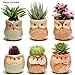 Succulent Planter, Cute Ceramic Owl Planters with Drainage, 2.5 Inch Small Flower Pot, Set of 6 Pots for Plants