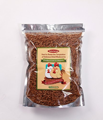 1Lb Heman Mealworms-Complementry for Wild Bird+Chickens by Mighty Mealworms