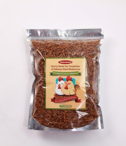 1Lbs Dried Mealworms for Wild Bird,Chickens,Ducks